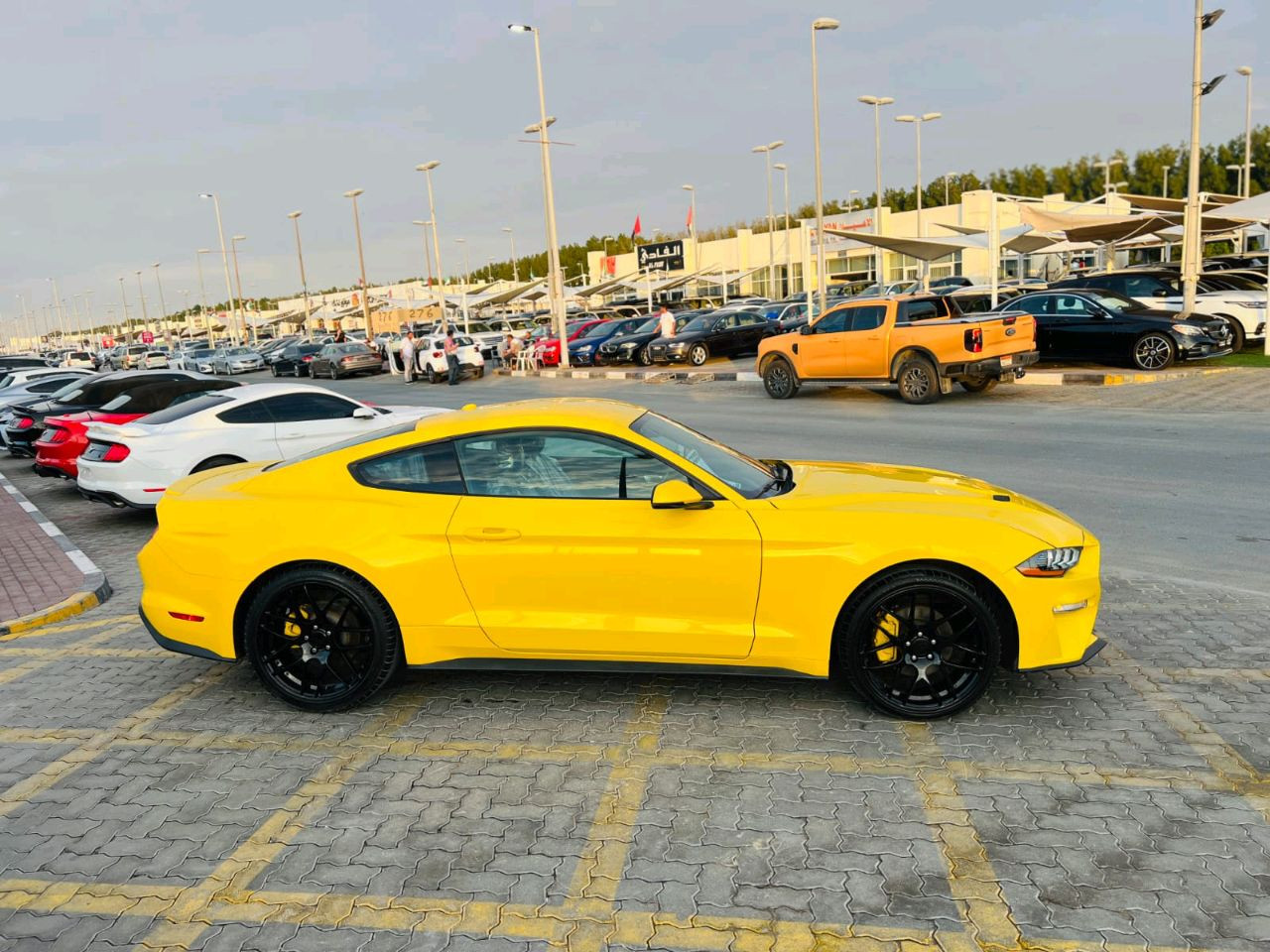 Ford Mustang - Image 5