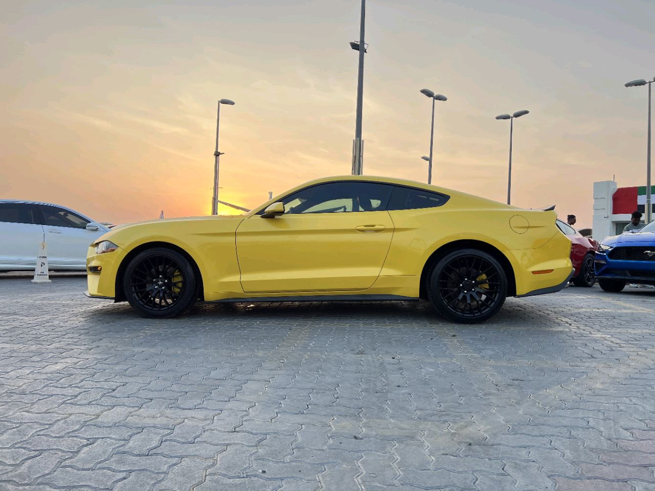 Ford Mustang - Image 6