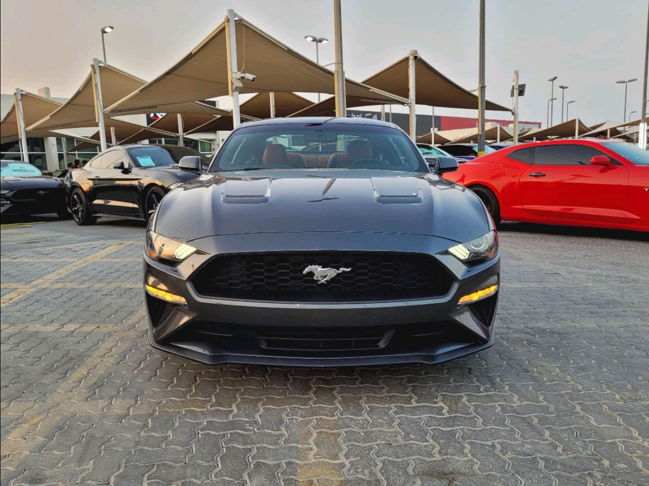 Ford Mustang - Image 9