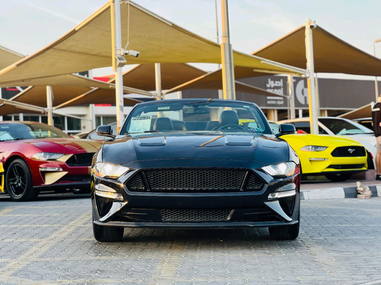 Ford Mustang - Image 4