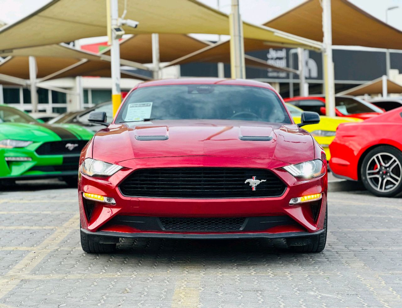 Ford Mustang - Image 3