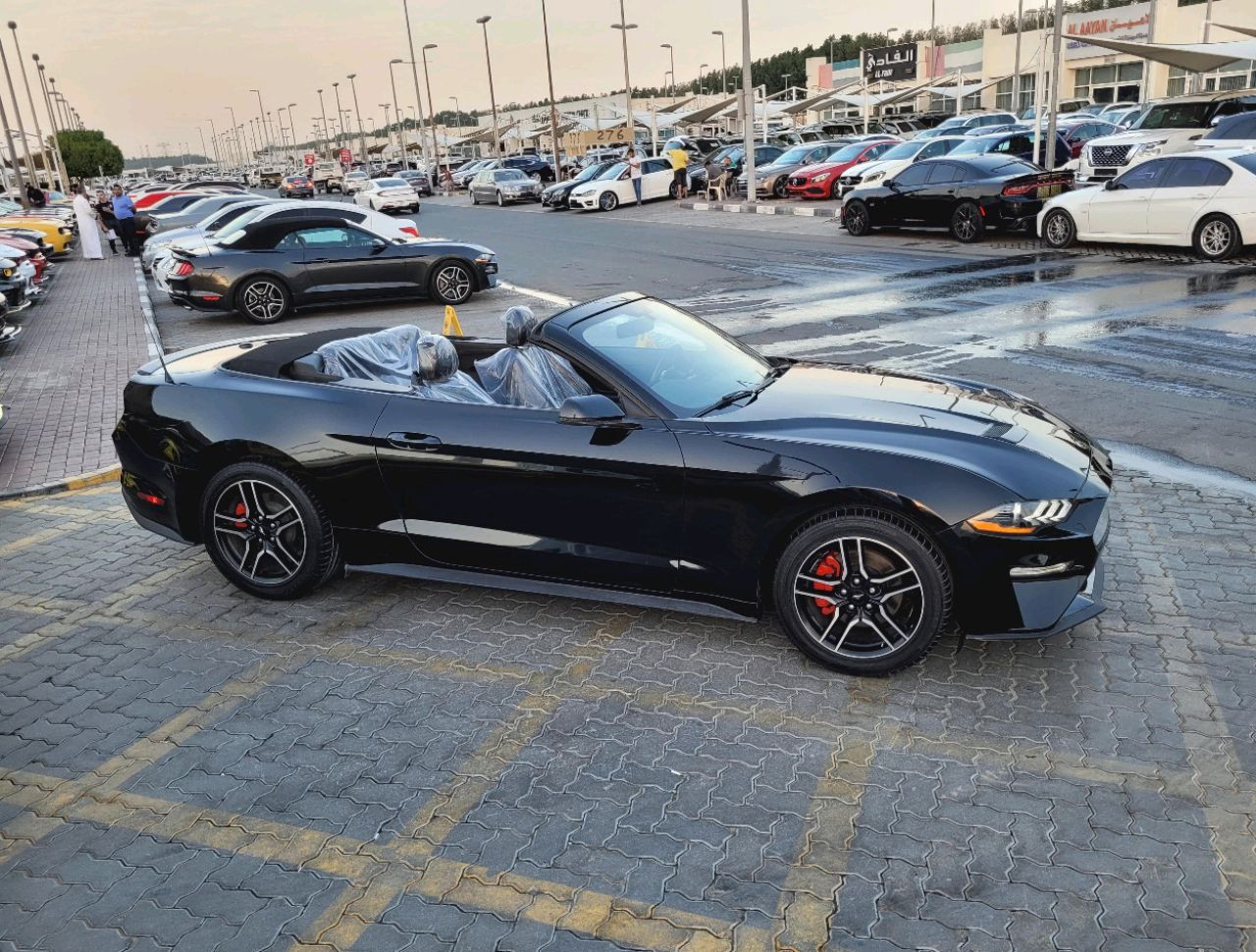 Ford Mustang - Image 7