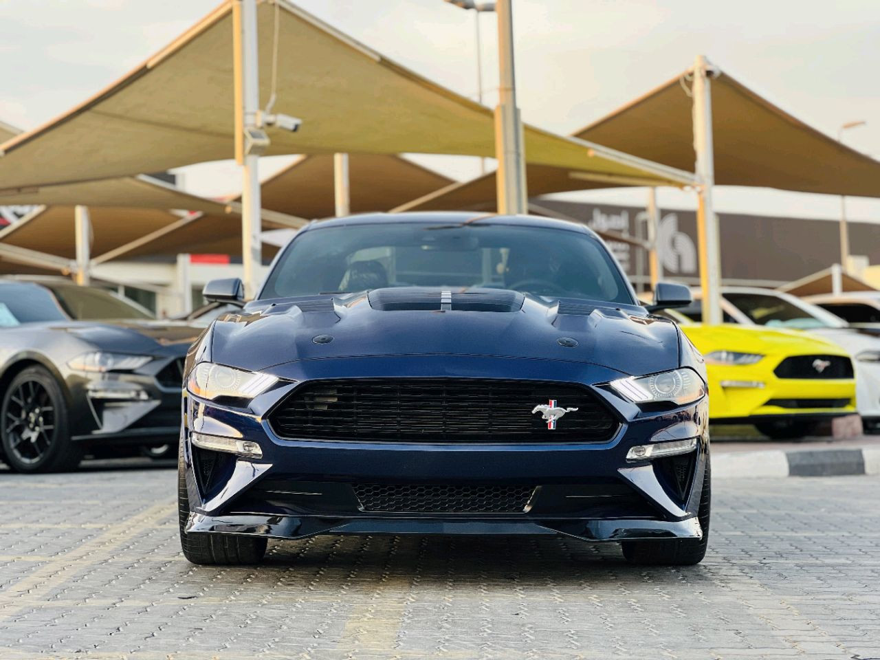 Ford Mustang - Image 3