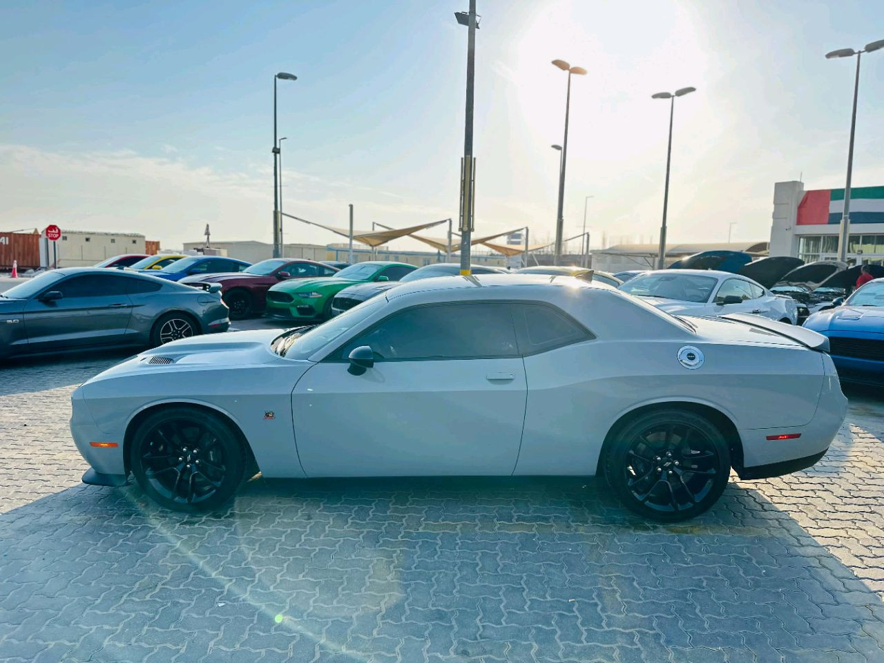 Dodge Challenger - Image 12
