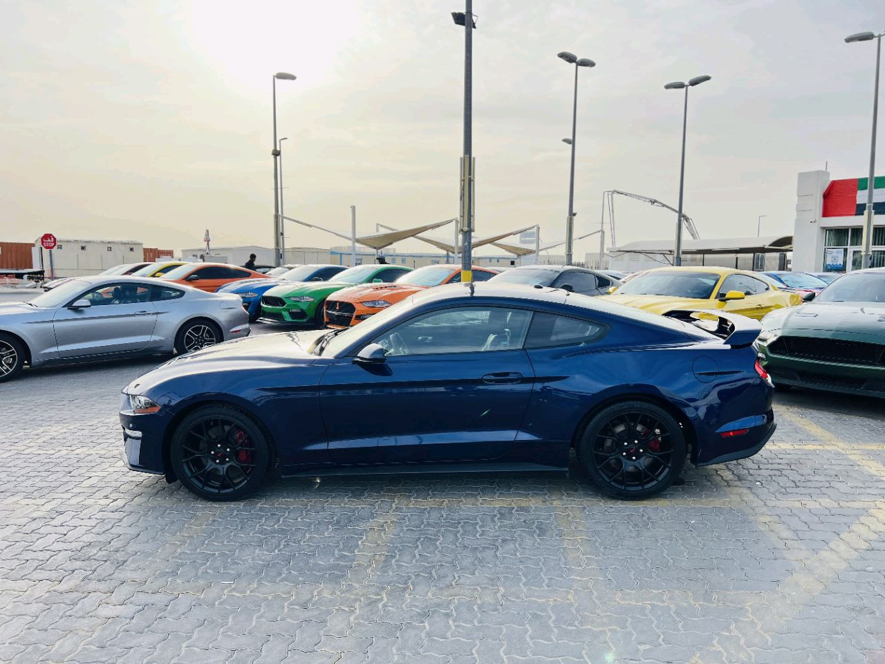 Ford Mustang - Image 6