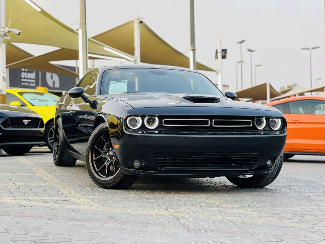 Dodge Challenger - Image 3