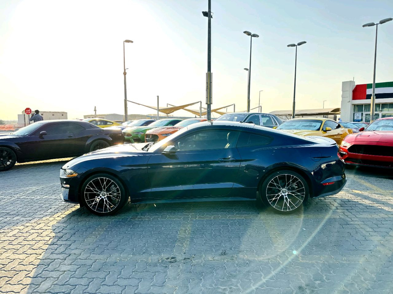Ford Mustang - Image 6