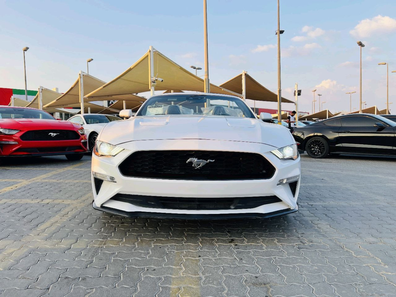 Ford Mustang - Image 9