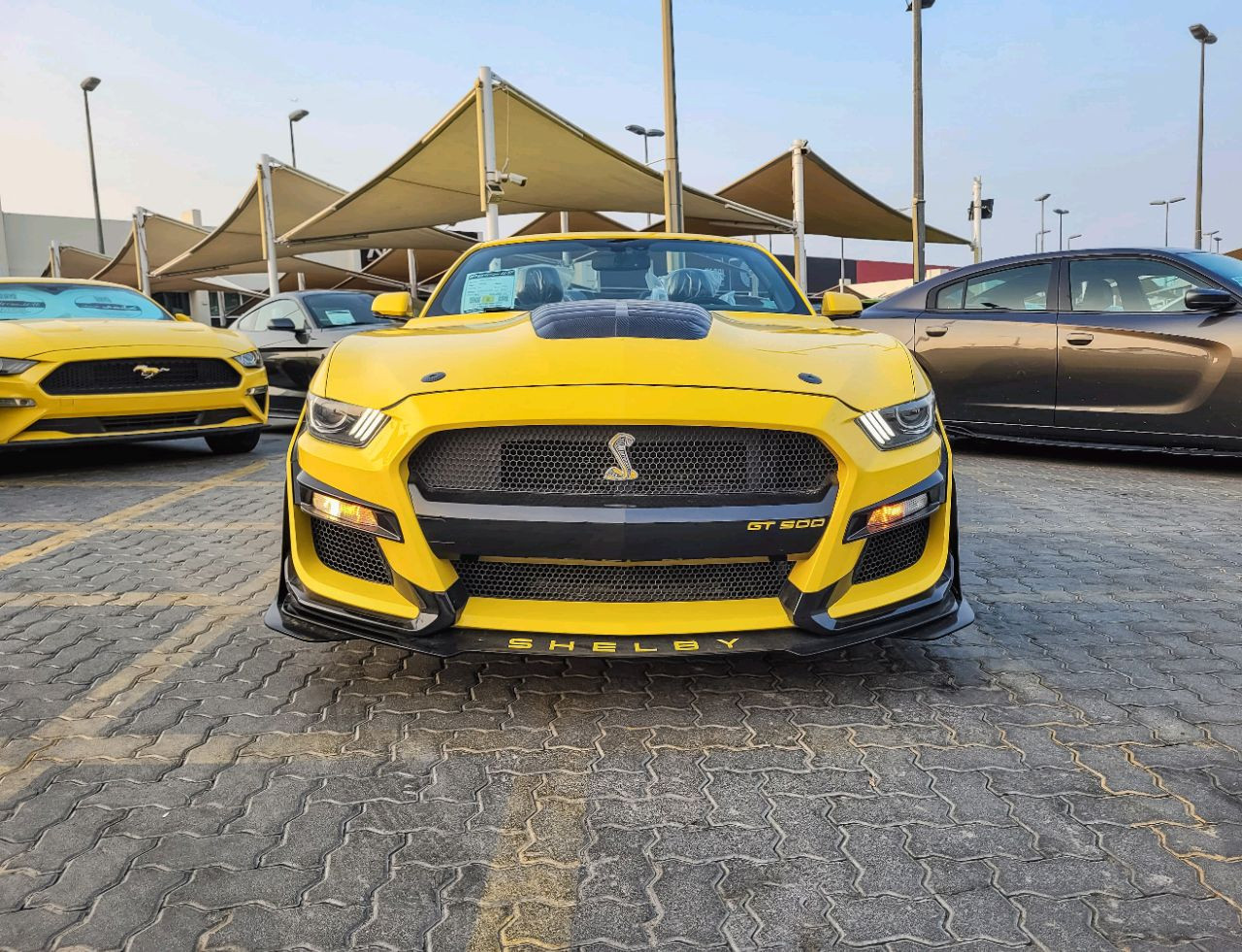 Ford Mustang - Image 3