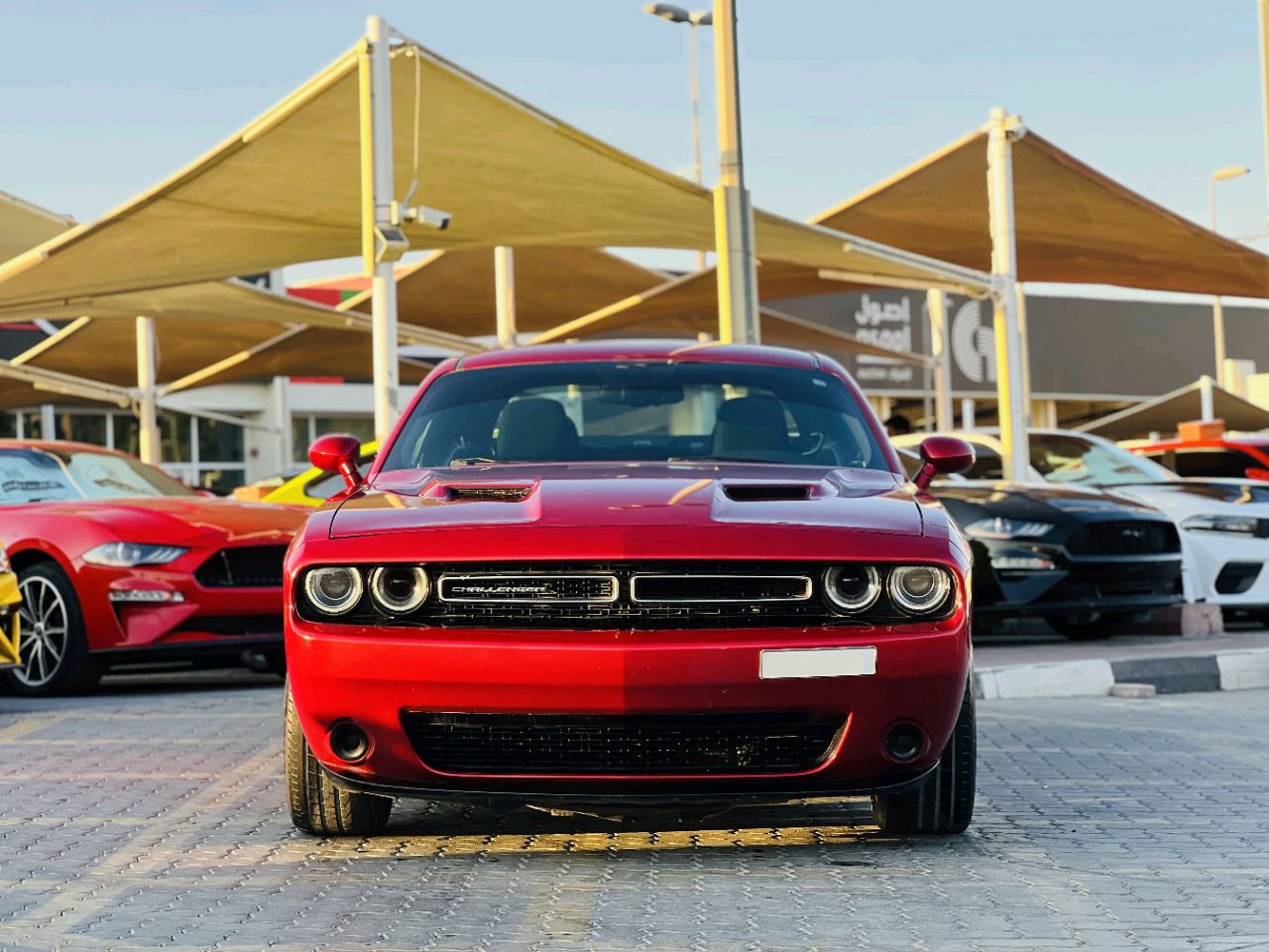 Dodge Challenger - Image 4