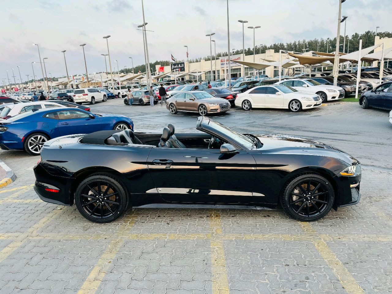 Ford Mustang - Image 5