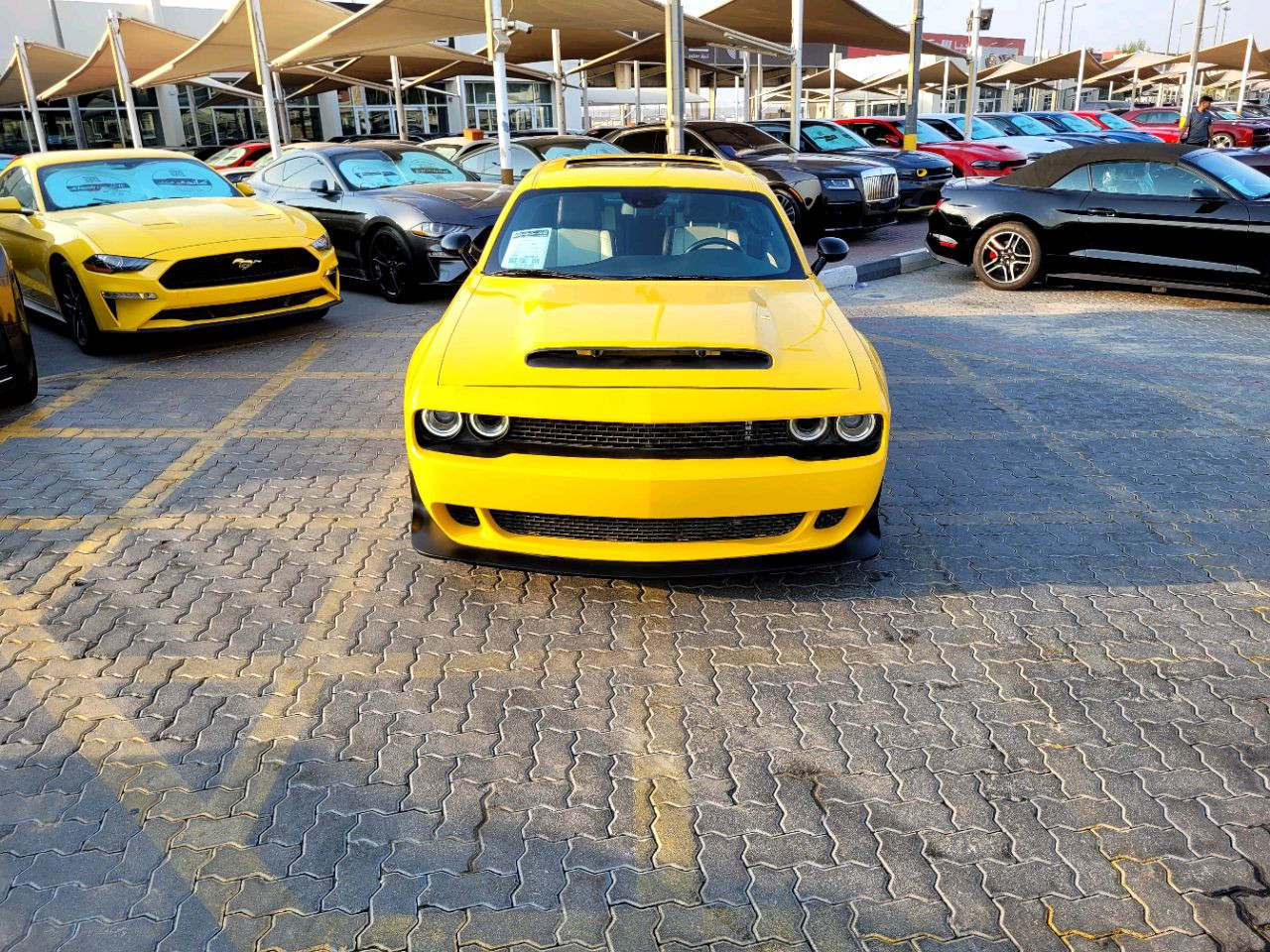 Dodge Challenger - Image 3