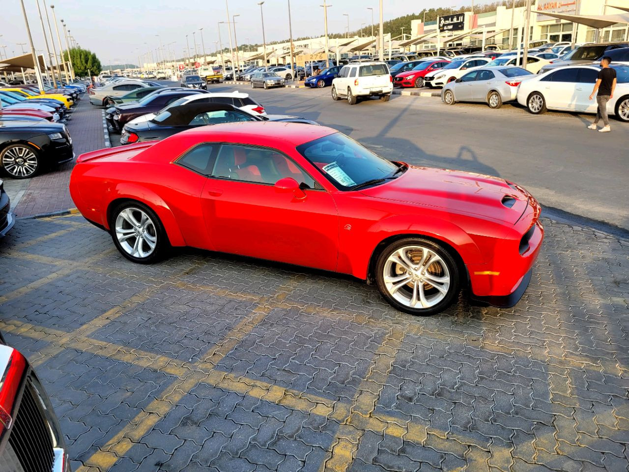 Dodge Challenger - Image 7