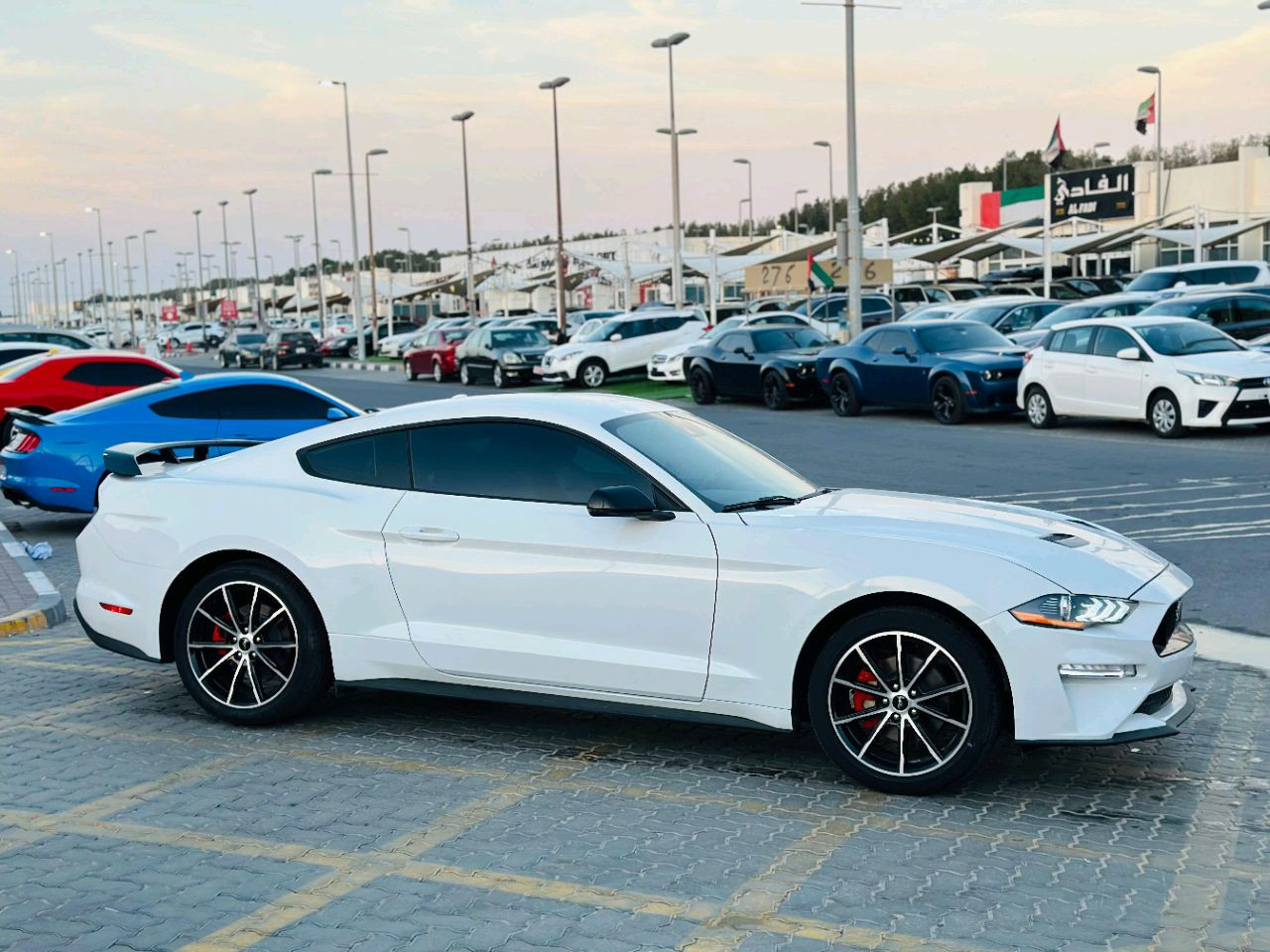 Ford Mustang - Image 5