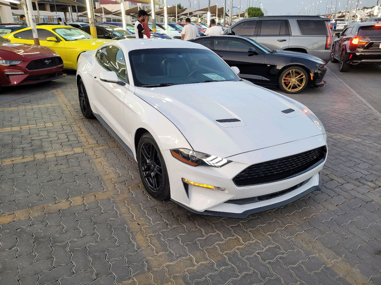 Ford Mustang - Image 4