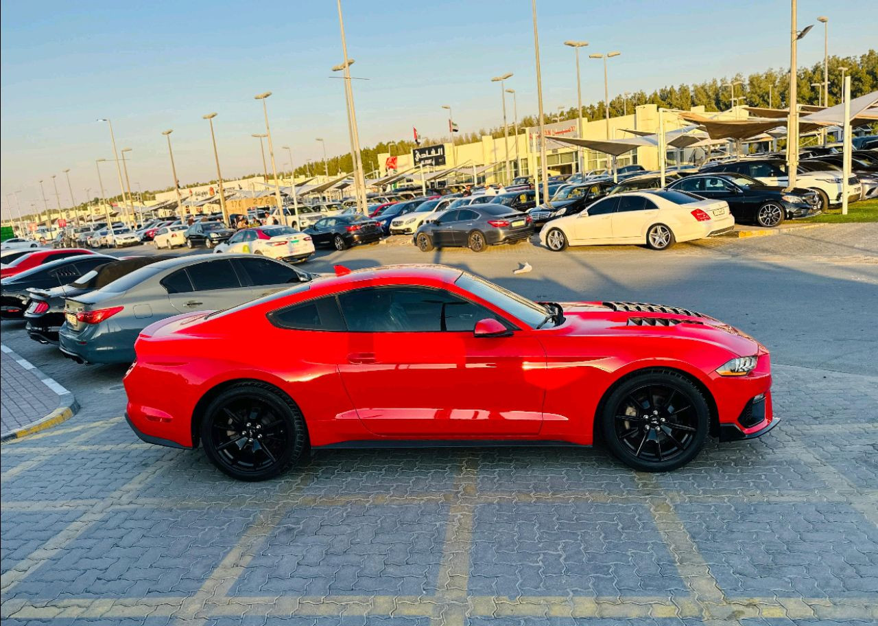 Ford Mustang - Image 5