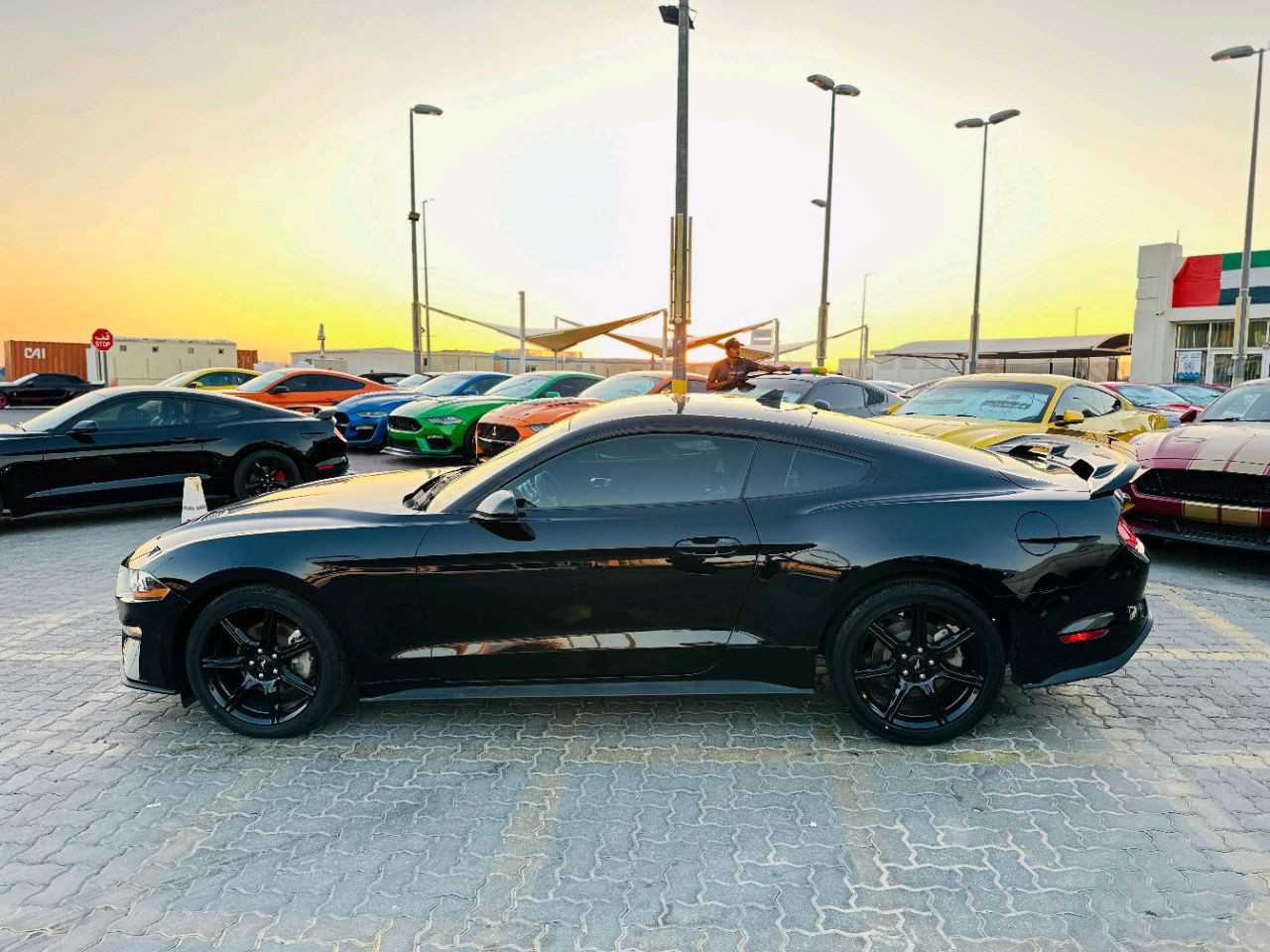 Ford Mustang - Image 6