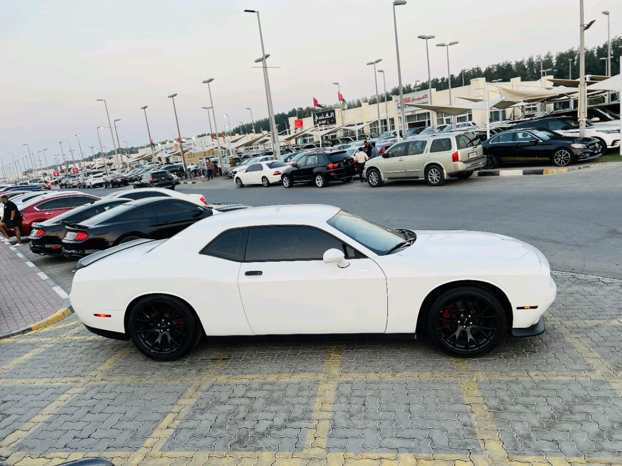 Dodge Challenger - Image 5