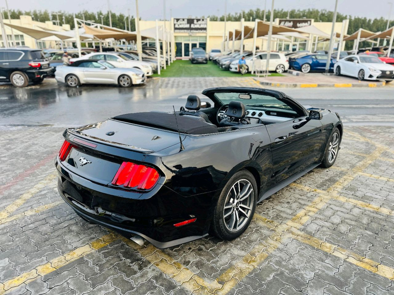 Ford Mustang - Image 7