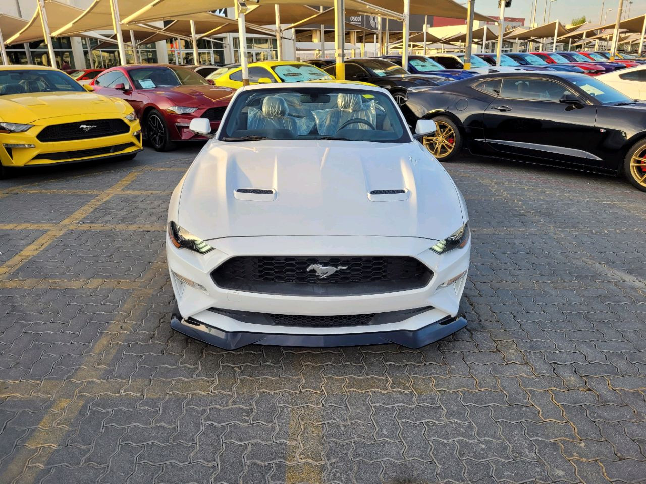 Ford Mustang - Image 4