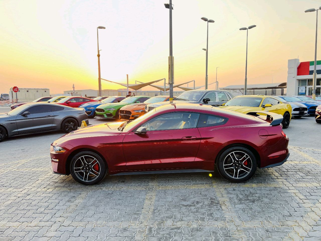 Ford Mustang - Image 5