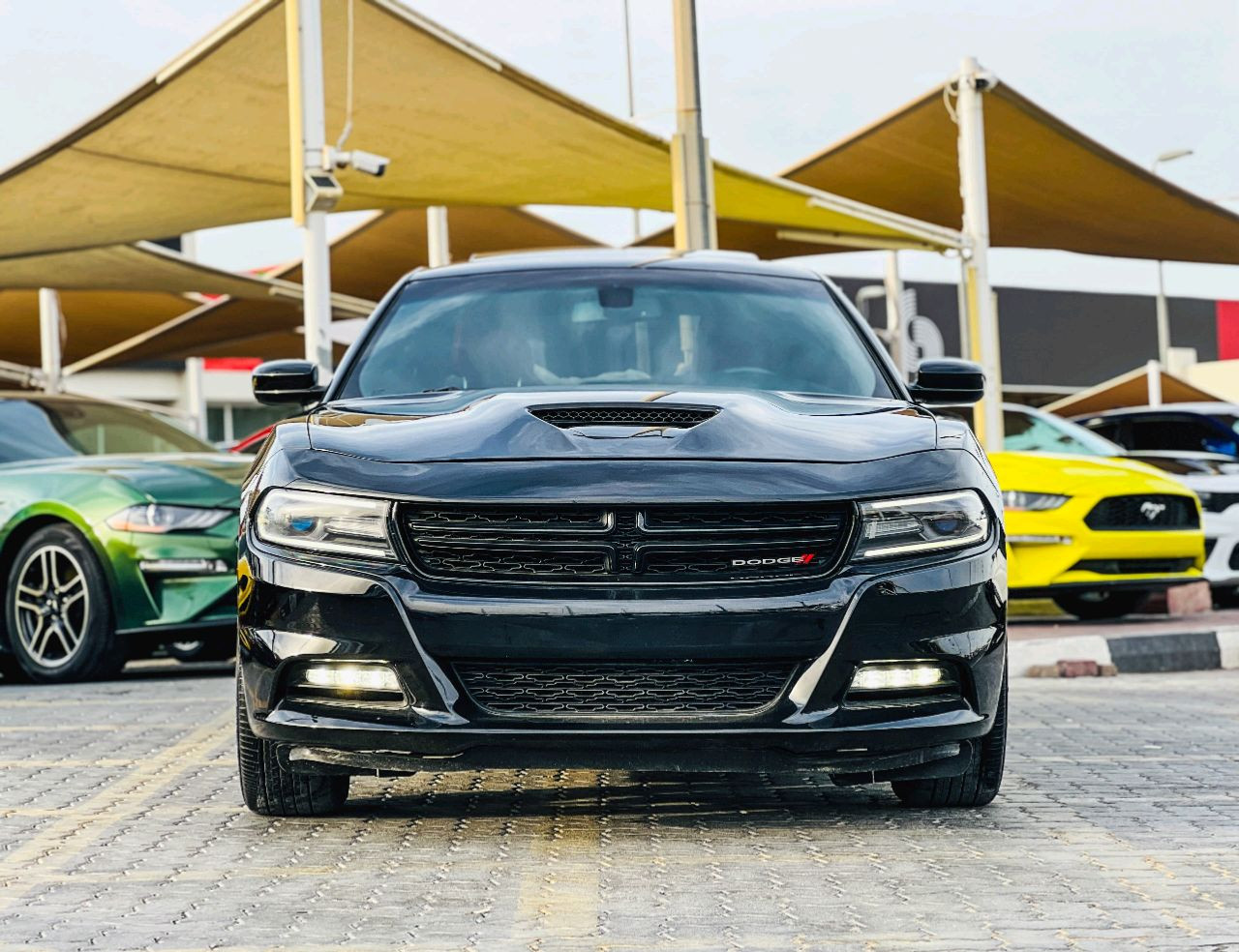Dodge Charger - Image 3