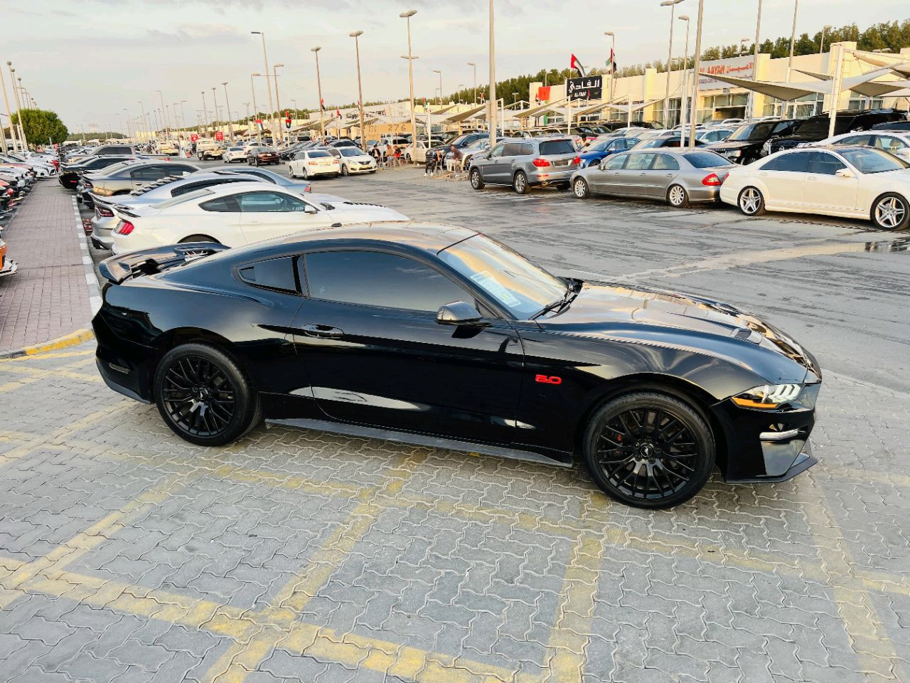 Ford Mustang - Image 5