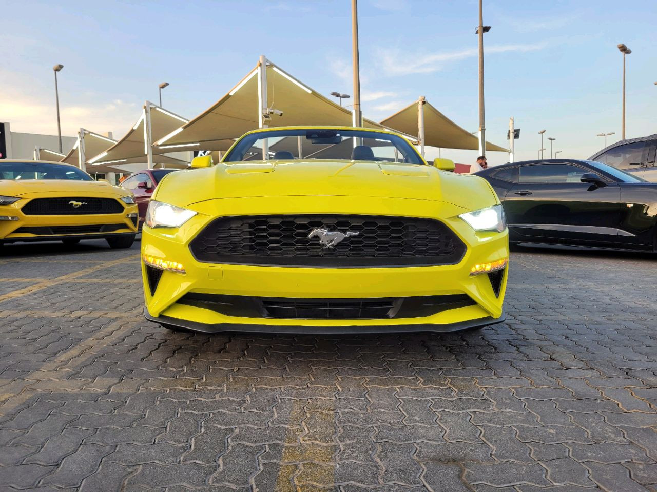 Ford Mustang - Image 3