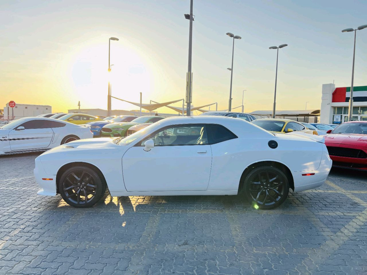 Dodge Challenger - Image 6