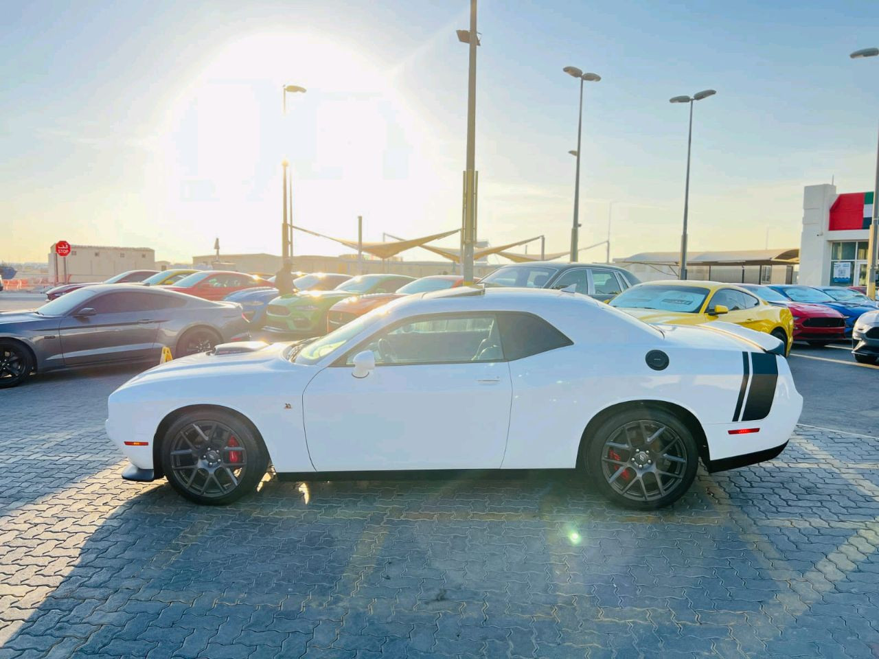 Dodge Challenger - Image 5