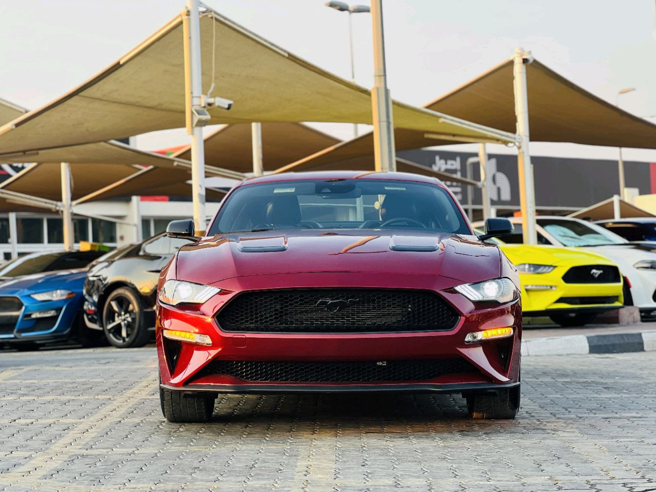 Ford Mustang - Image 3