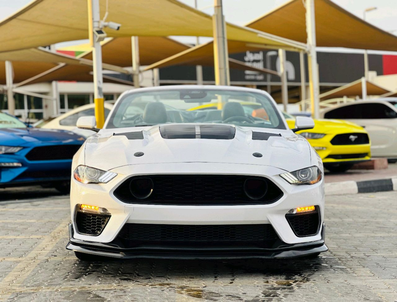Ford Mustang - Image 3