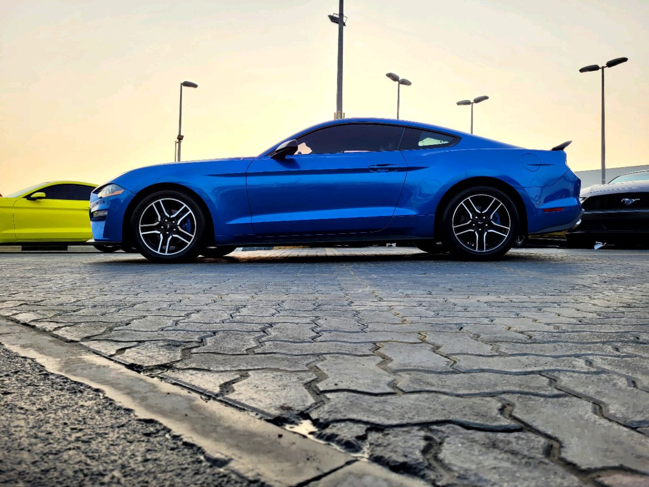 Ford Mustang - Image 7