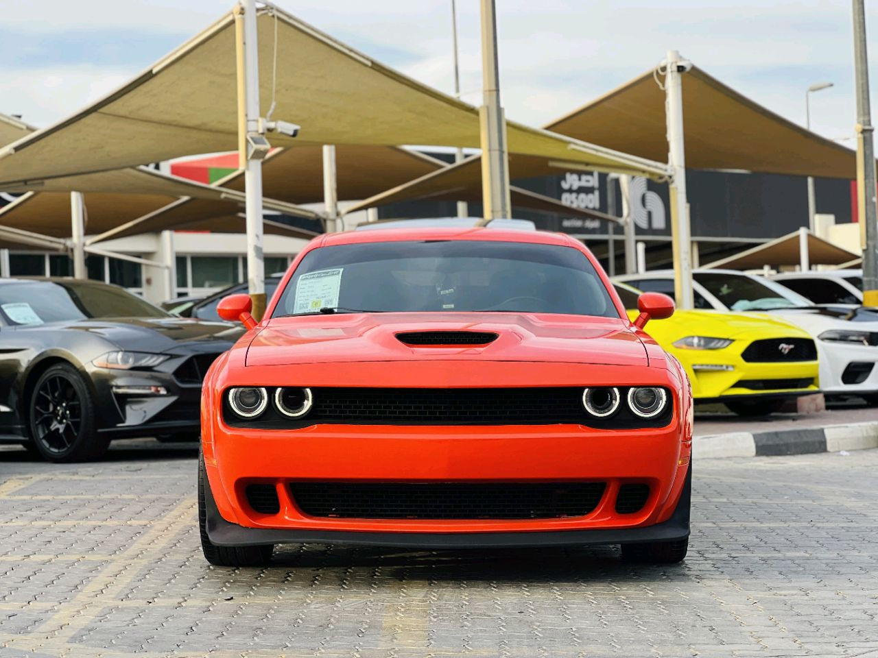 Dodge Challenger - Image 2