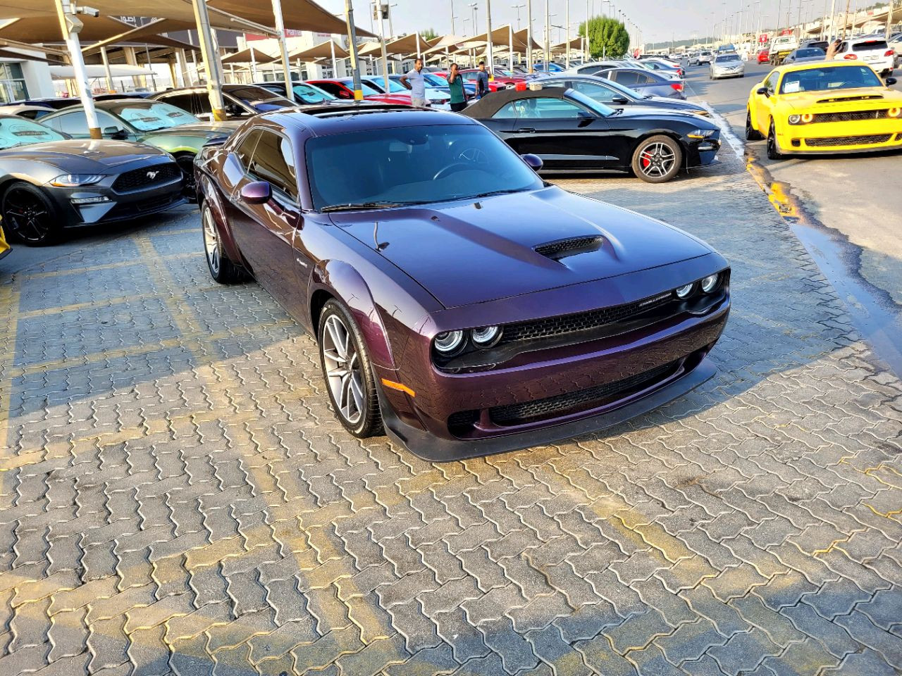 Dodge Challenger - Image 4