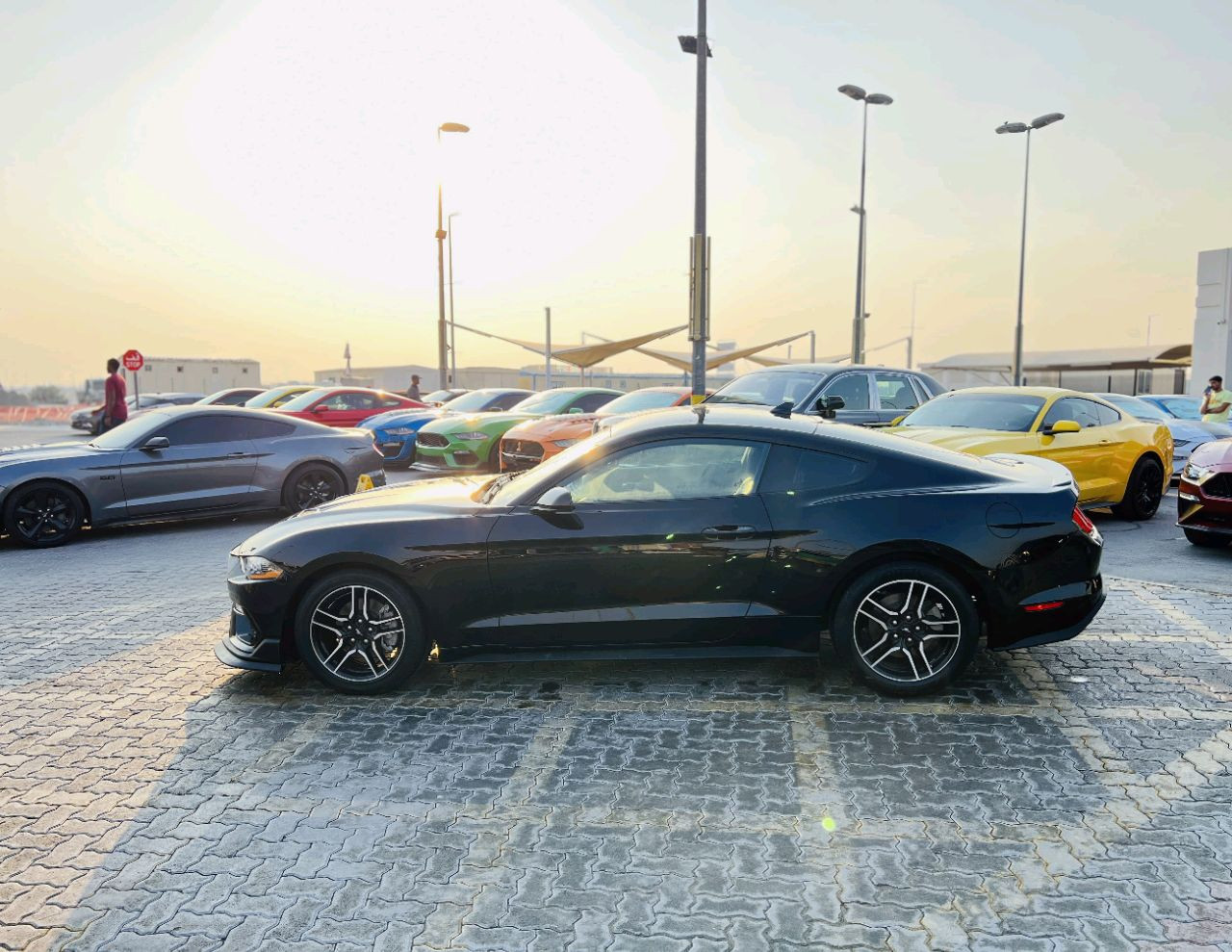 Ford Mustang - Image 6