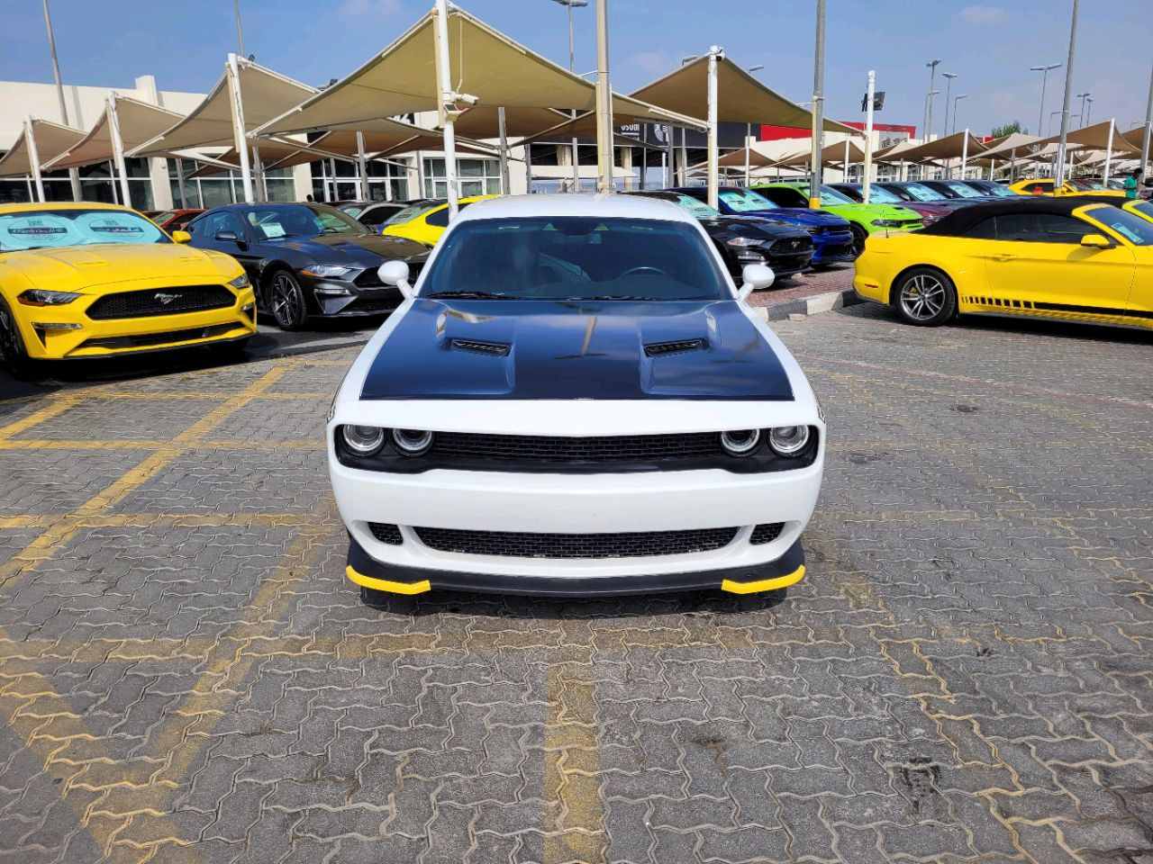 Dodge Challenger - Image 4