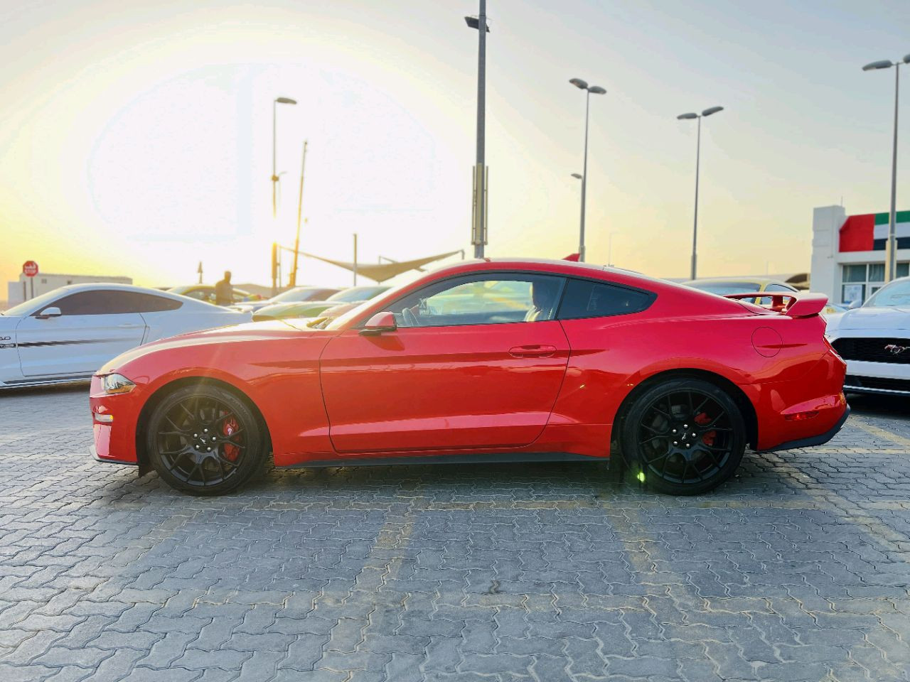 Ford Mustang - Image 8