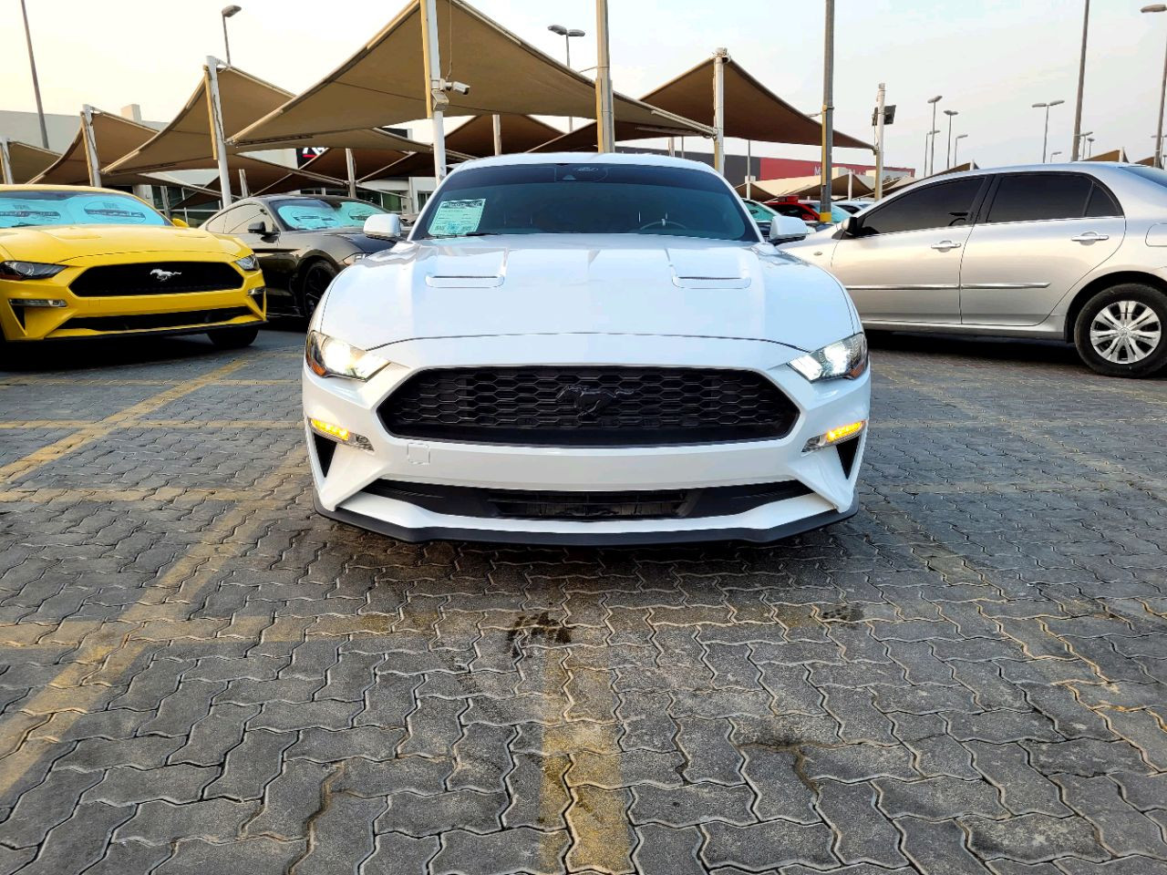 Ford Mustang - Image 3