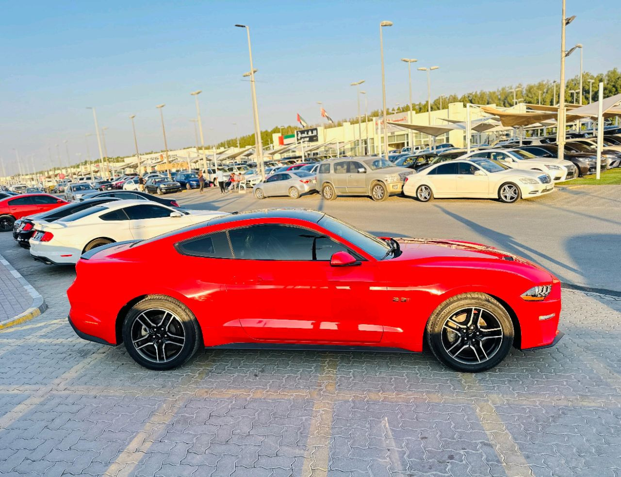 Ford Mustang - Image 5