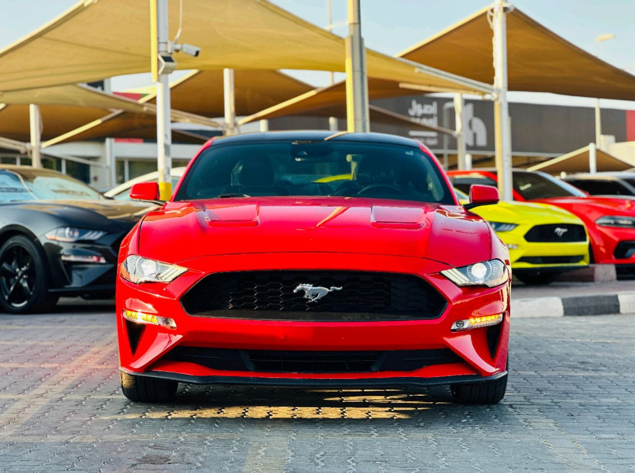 Ford Mustang - Image 3