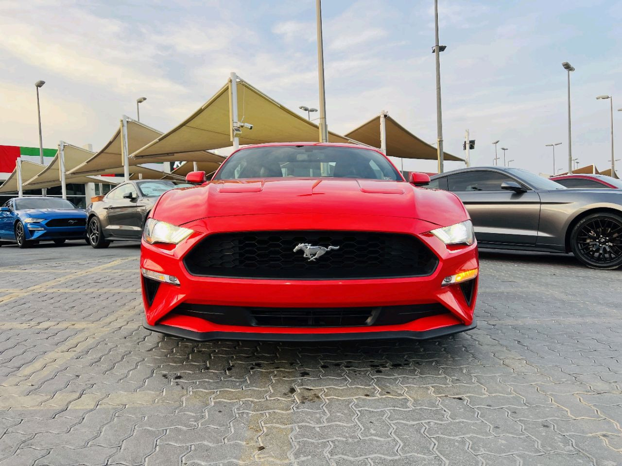 Ford Mustang - Image 2