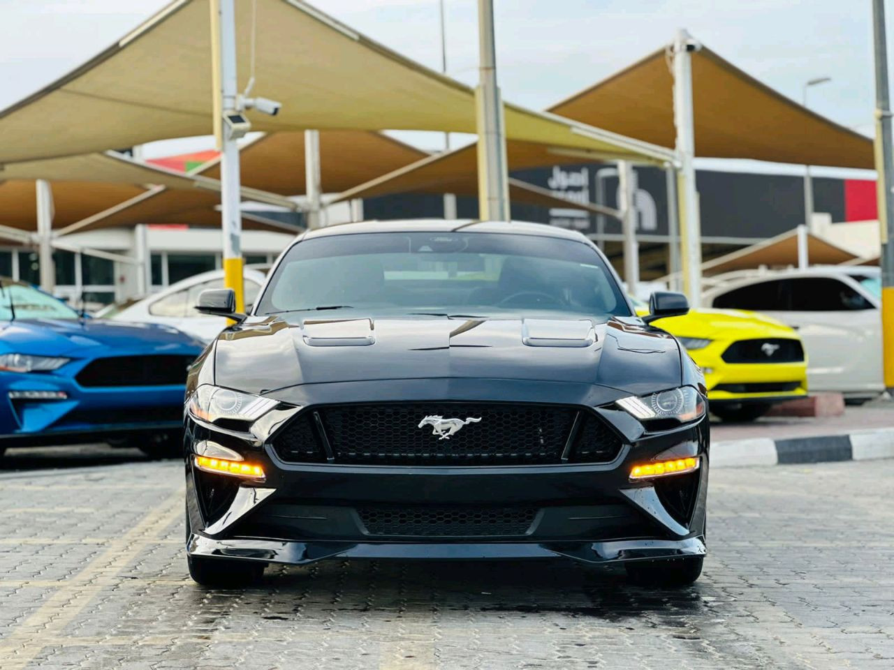 Ford Mustang - Image 3
