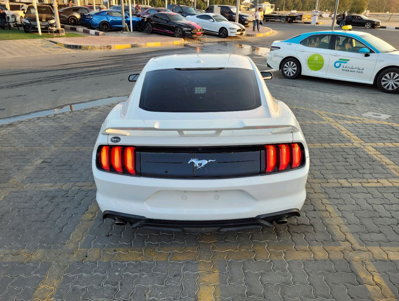 Ford Mustang - Image 6