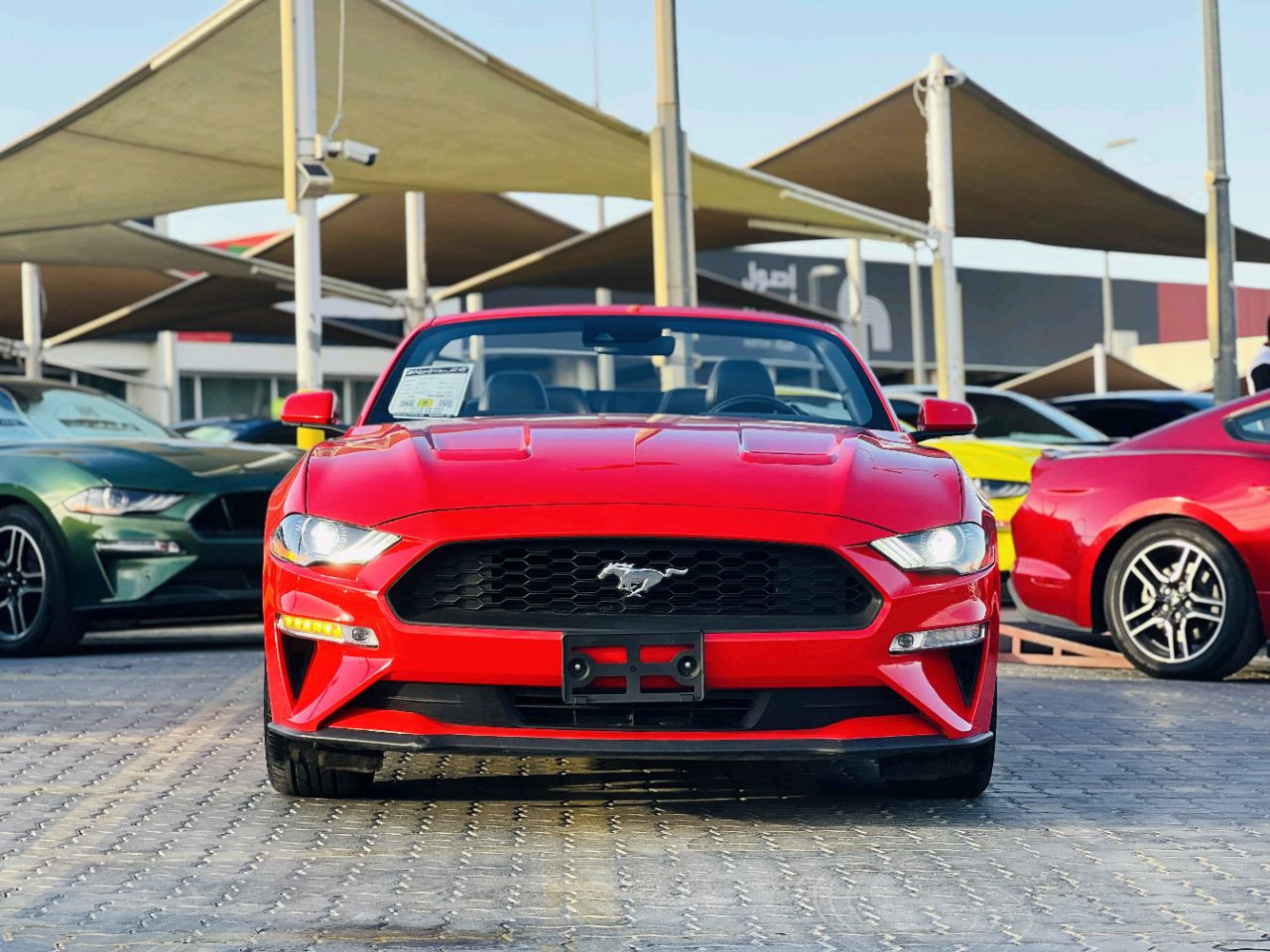 Ford Mustang - Image 3