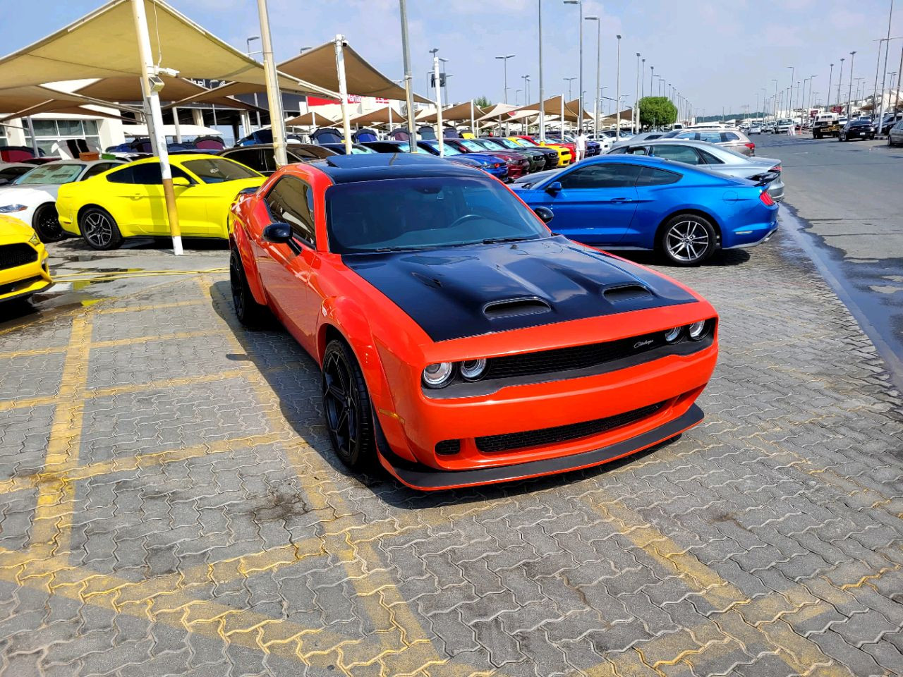 Dodge Challenger - Image 4