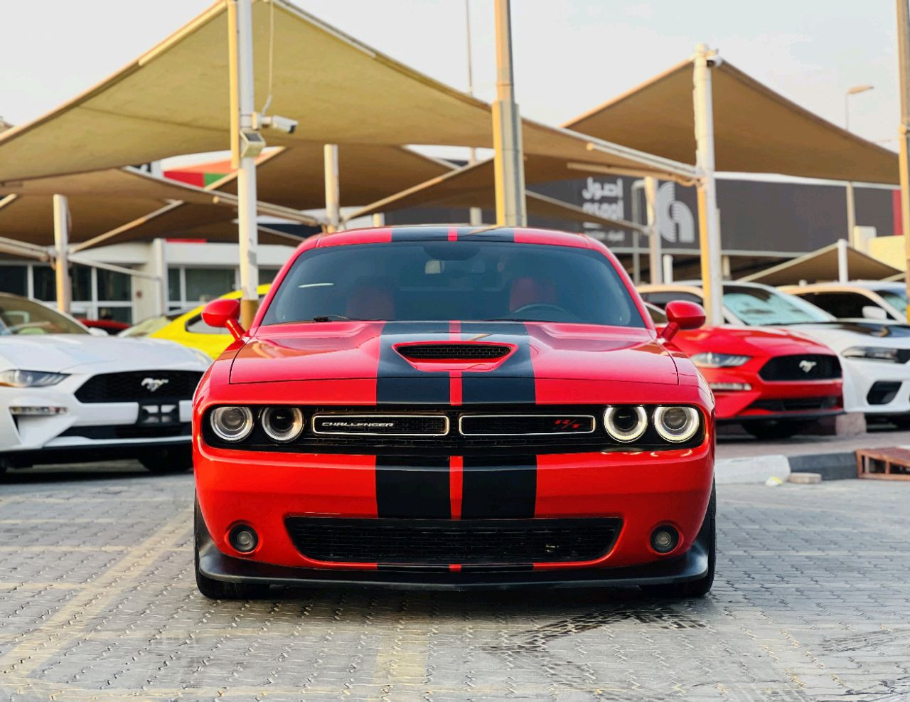 Dodge Challenger - Image 4