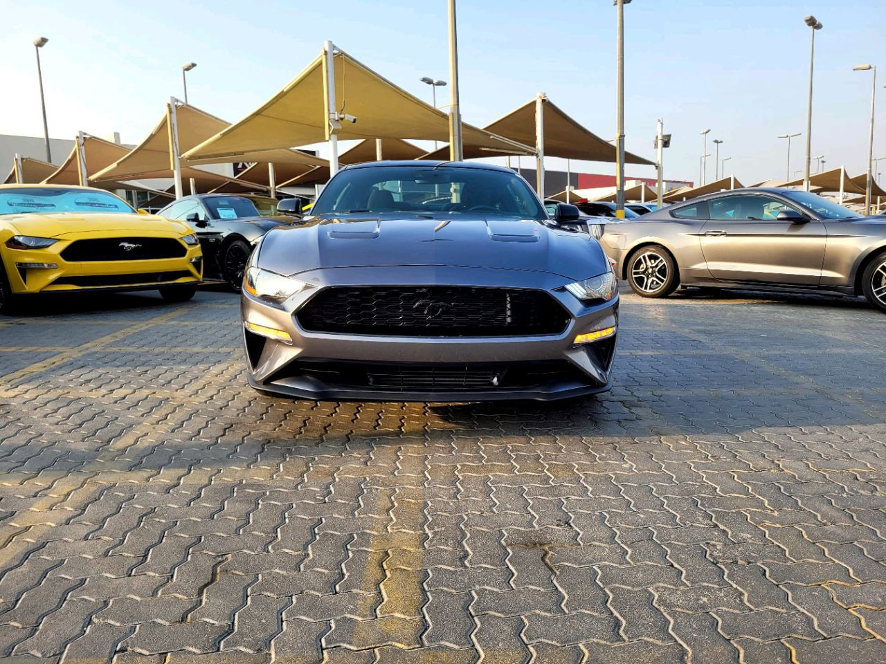 Ford Mustang - Image 3