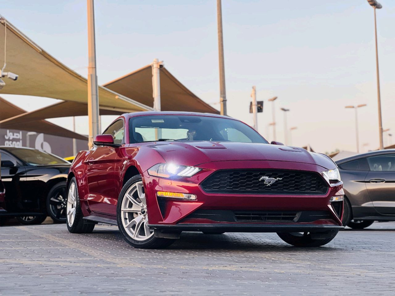 Ford Mustang - Image 3