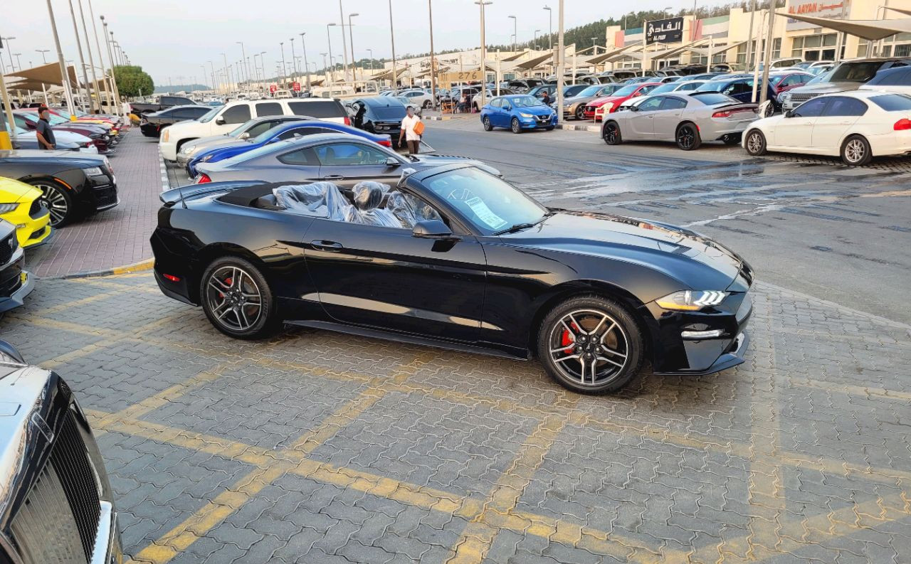 Ford Mustang - Image 5